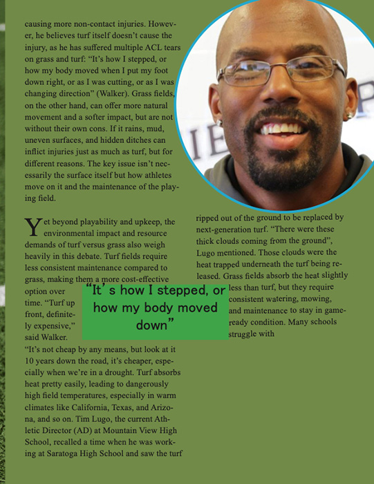 Article by Stephen Messner